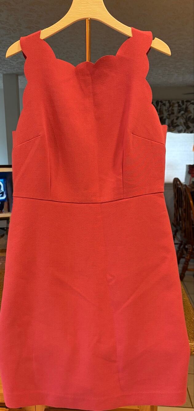 Ann Taylor Loft Petites Sleeveless Scalloped Sheath Dress Sz 10P